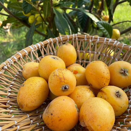 Bio&B Acquaviva Bed & Breakfast Otranto Ngoại thất bức ảnh
