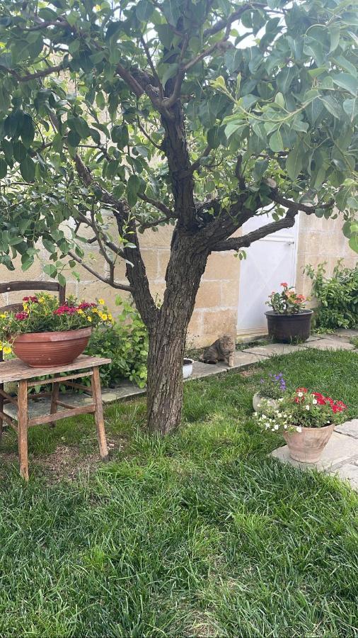 Bio&B Acquaviva Bed & Breakfast Otranto Ngoại thất bức ảnh